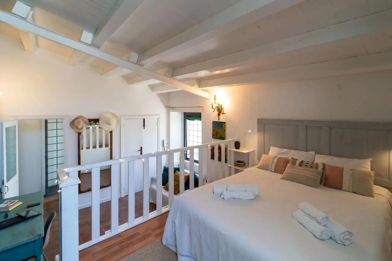 Piazza Duomo Panoramic Loft With Terrace Apartment Syracuse